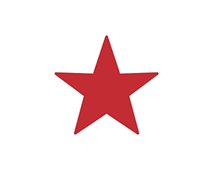 Icon Stamp Star Symbol