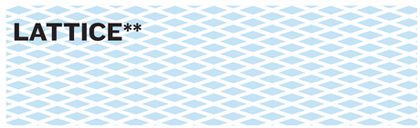 Lattice Imprinted Business Checks