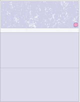 Marble Blank Business Checks on Top - Better Security -  Marble Blue with Colored Stub