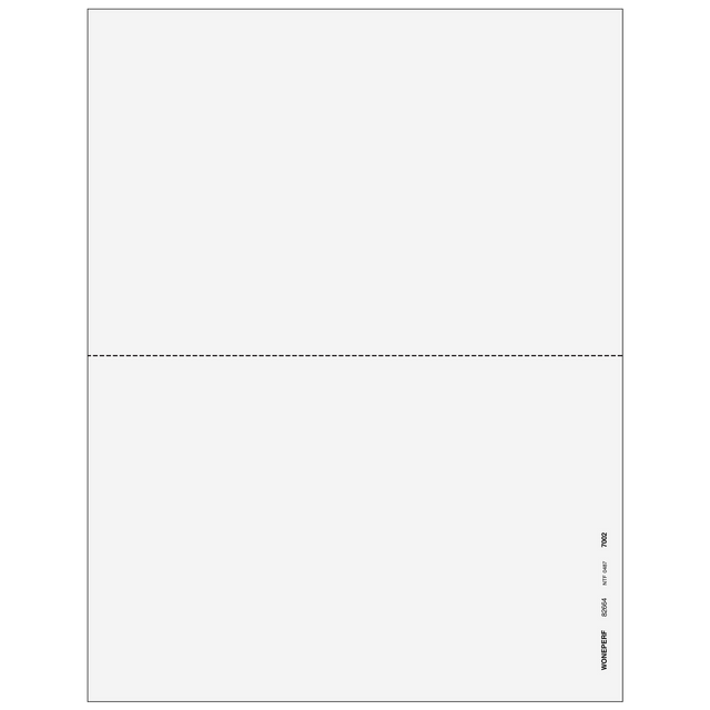 2up Blank W-2 & 1099 Form (without Instructions)