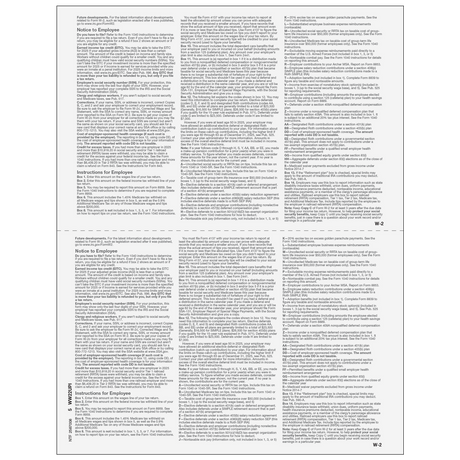 2up Blank W-2 Form (with Employee Instructions)